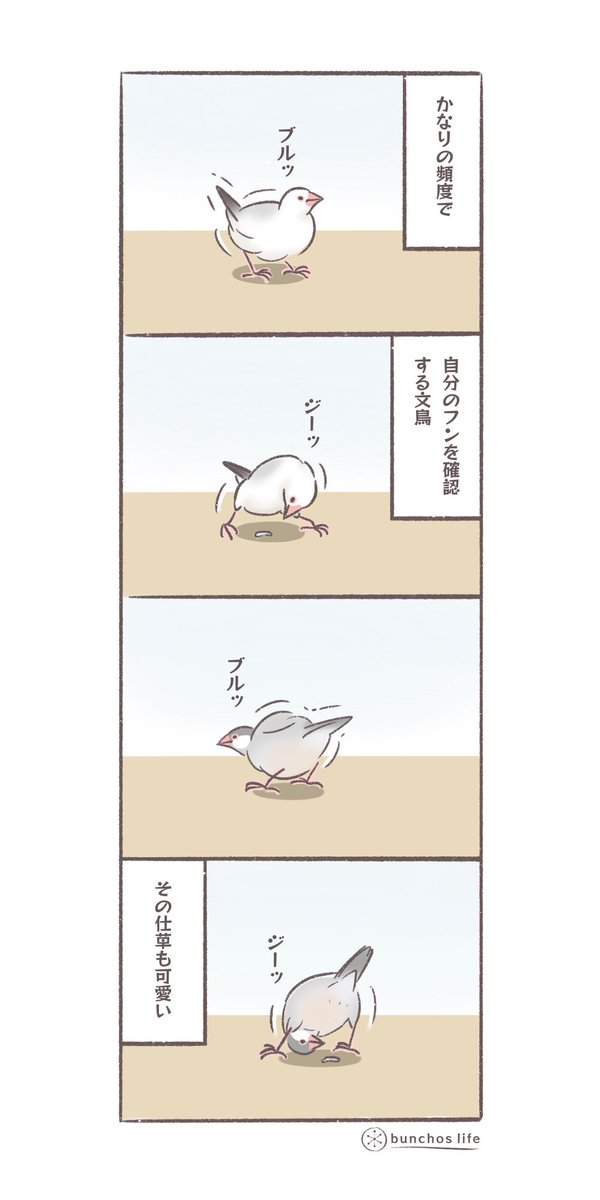 自分のフンを確認する文鳥の仕草が可愛い
#文鳥 
#4コマ漫画 

*過去作ダウンロードできます!(固定ツイート参照) 