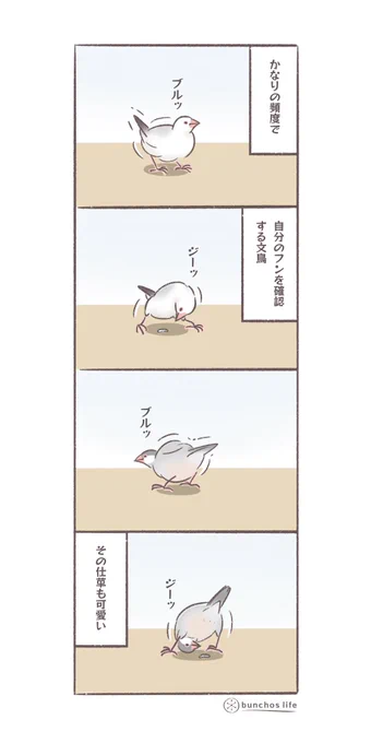 自分のフンを確認する文鳥の仕草が可愛い
#文鳥 
#4コマ漫画 

*過去作ダウンロードできます!(固定ツイート参照) 