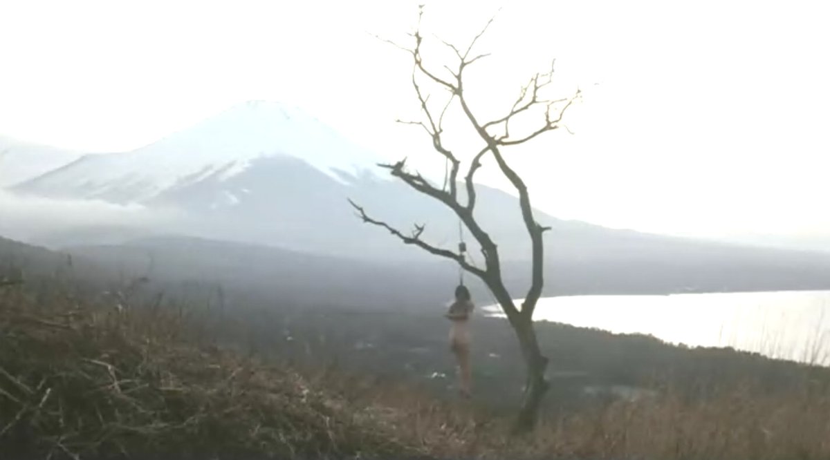 Pinku X BDSM🇯🇵 (日本の BDSM) tweet media