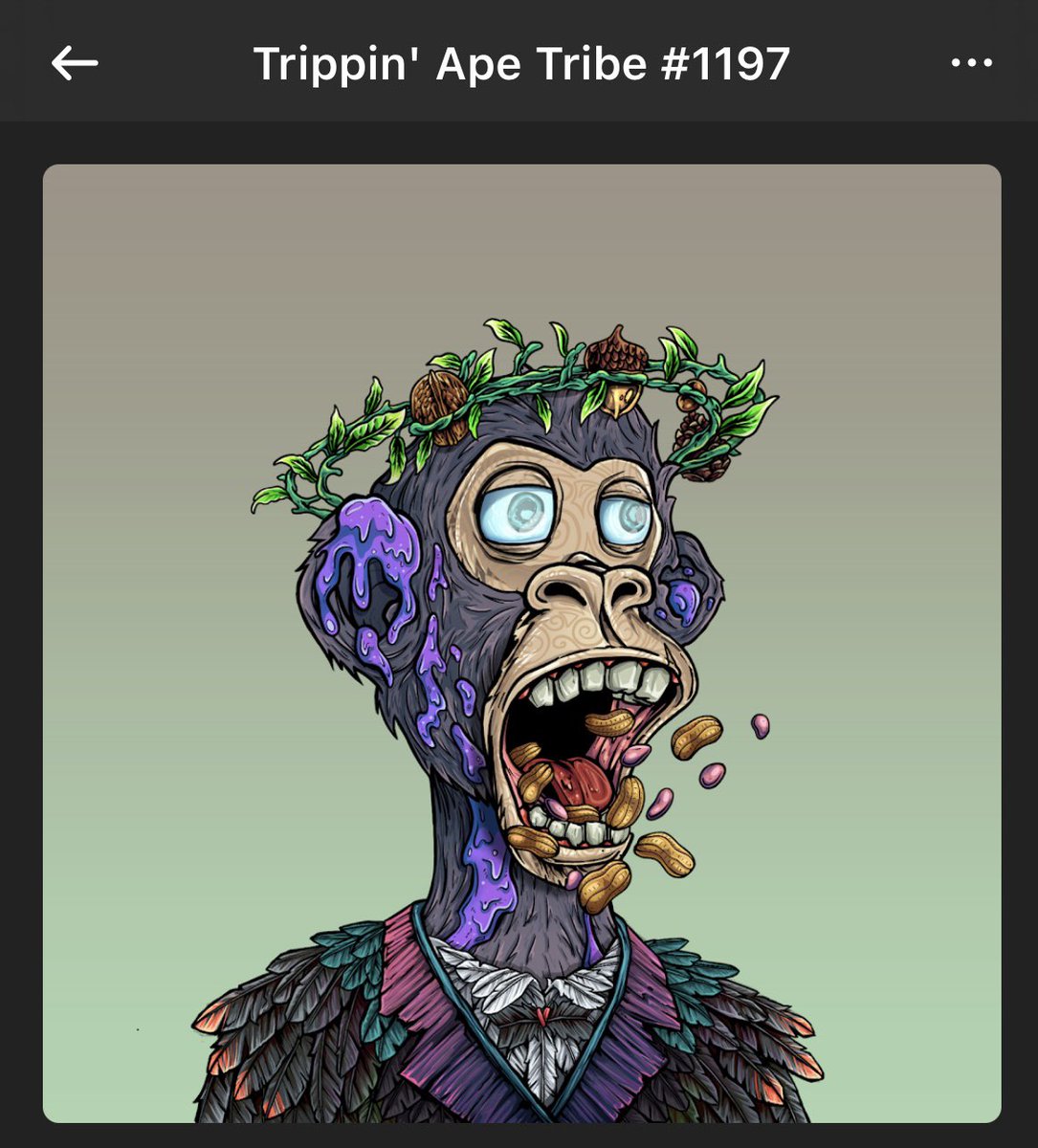 javierchin7's tweet photo. @trippinapes https://t.co/UmFmyX8ETF