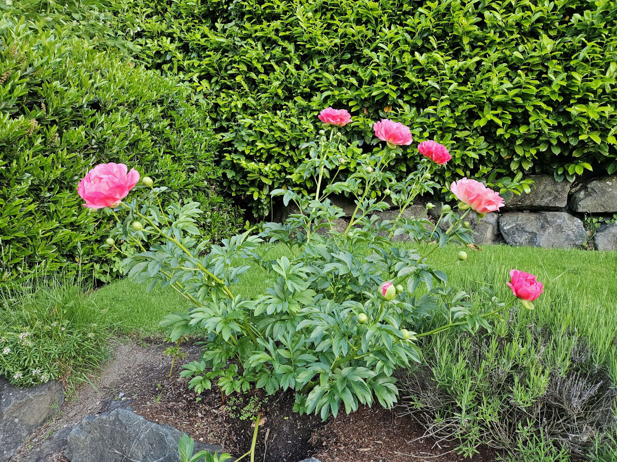 Веган Папа 🇺🇦 on Twitter: "Девушки, это вам! 😘 https://t.co/xJxZitCk8t ...