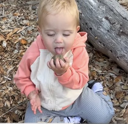 The way he licked the rock