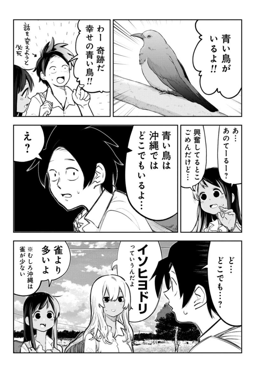 知ってましたか? 沖縄の鳥420種類のうち90%は・・・