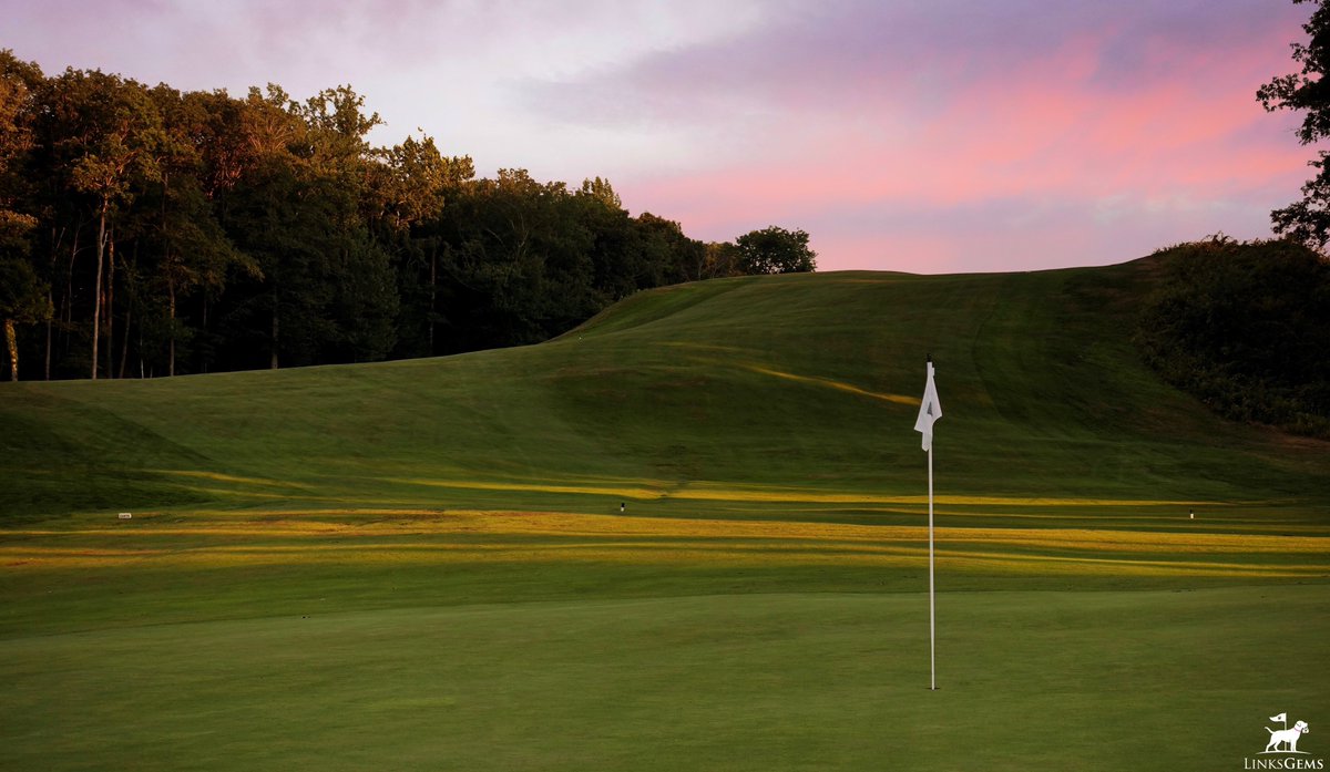 LinksGems tweet media