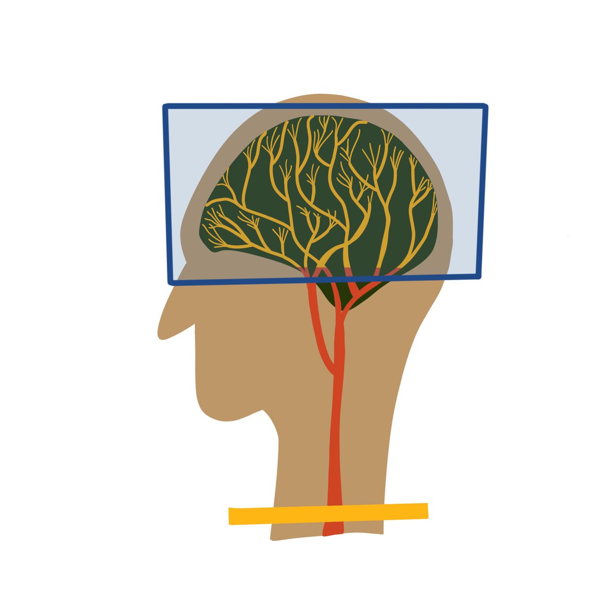 Sharing some digital artwork from my qualifying exam in April. Can you identify the science?