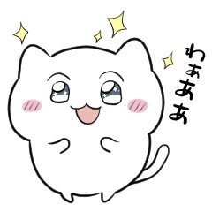 おんねこ⁉️