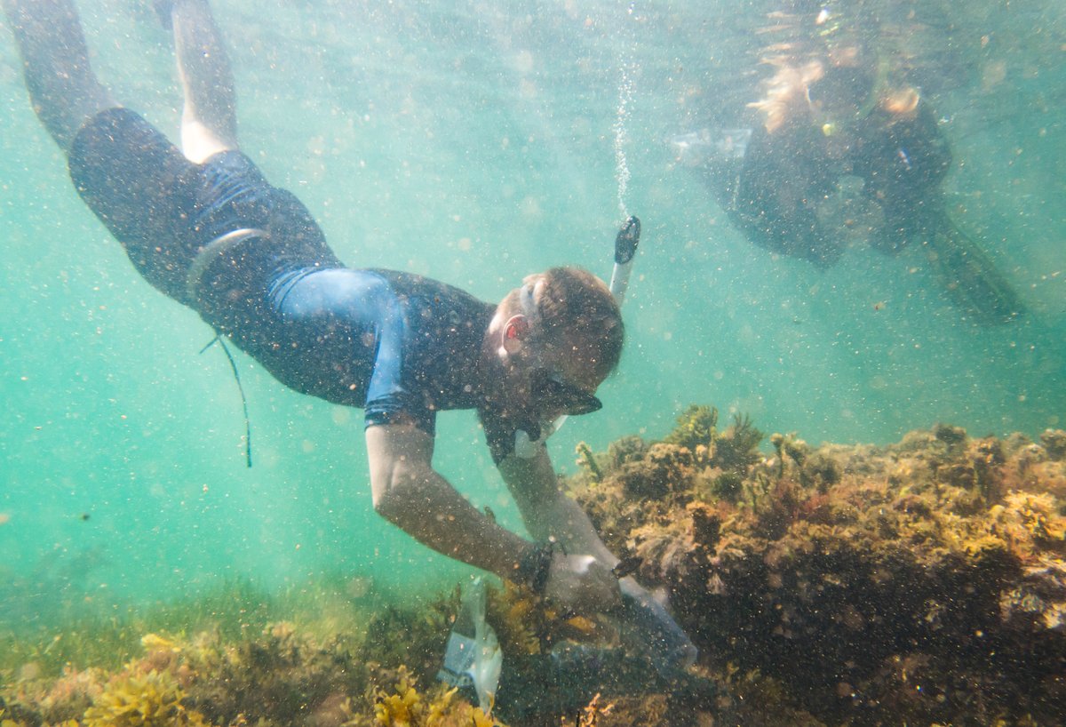 SEACS @seacs.bsky.social tweet media