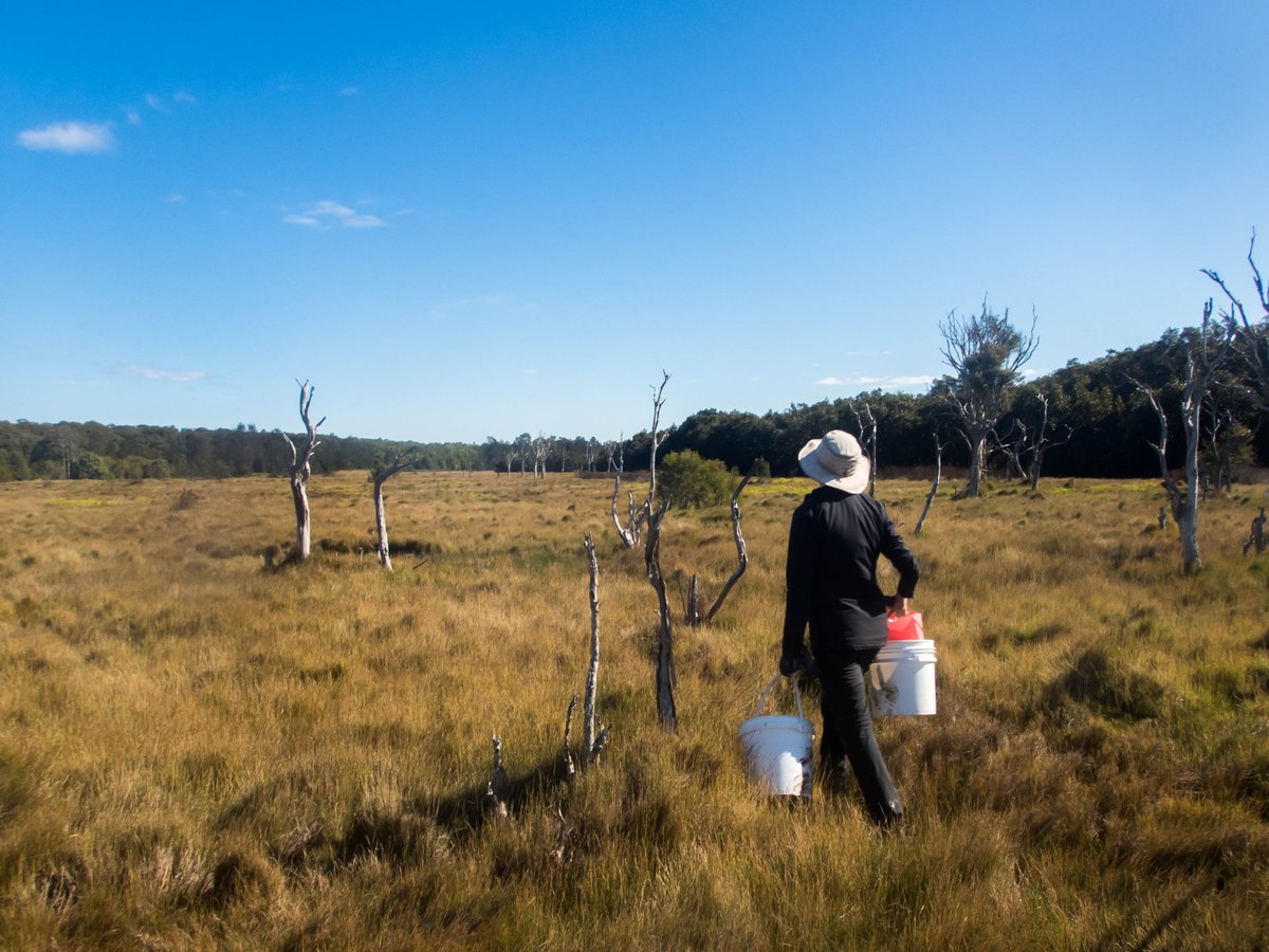 Hi everyone! We are the SEACS lab at UNSW, investigating Solutions for Estuarine And Coastal Stressors. Headed by Dr. Mariana Mayer Pinto, we study a diverse range of human impacts, including artificial structures, light pollution and climate change in coastal ecosystems😊