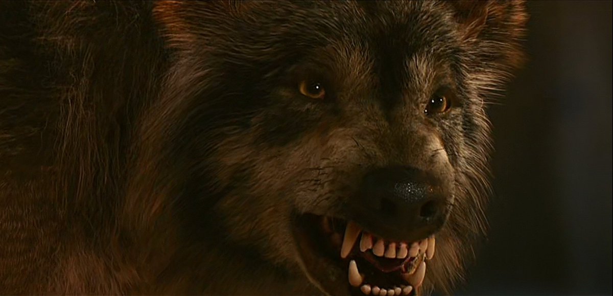 one of the best werewolf transformation in the history of cinema 🔥

#Bhediya #VarunDhawan