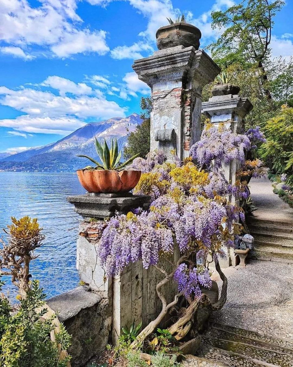 🇮🇹 Lago di Como, Como, Lombardia
📷 @micheli.sofi

#lagodicomo #como #lombardia #lago #lake #beautifulday #beautiful #travel #travelplace #travelphoto #italy #italytrip #italytravel #italia #italytour #italystylhe #italyan #italytourism #italyphotographer  #italyintheheart