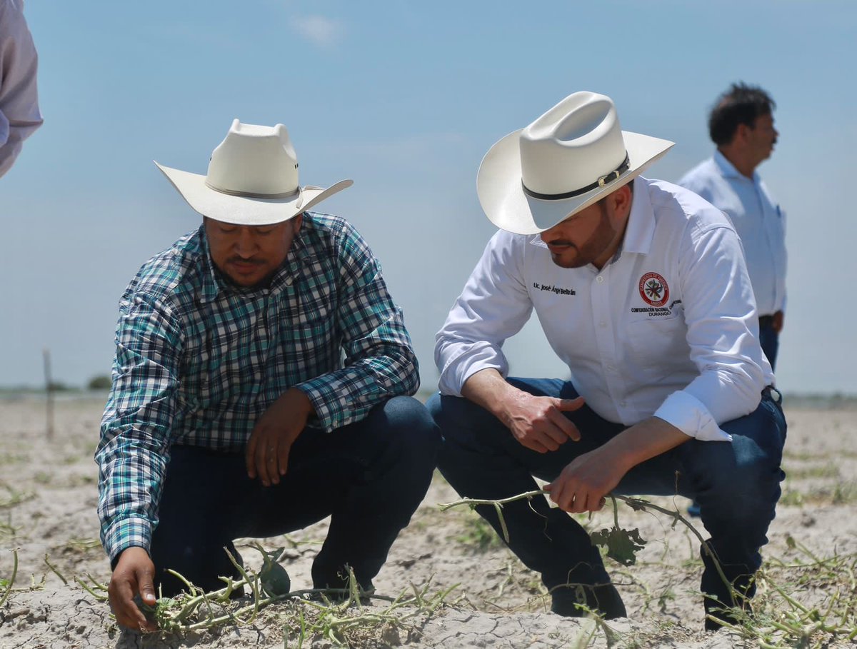 JABeltranFelix's tweet photo. Debido a la fuerte granizada que azotó hace unos días en el municipio de Tlahualilo, asistimos la @CNC_Durango y la CNC Gómez Palacio, en busca de alternativas y soluciones para los productores que fueron afectados. https://t.co/E7Dk2bOKRm