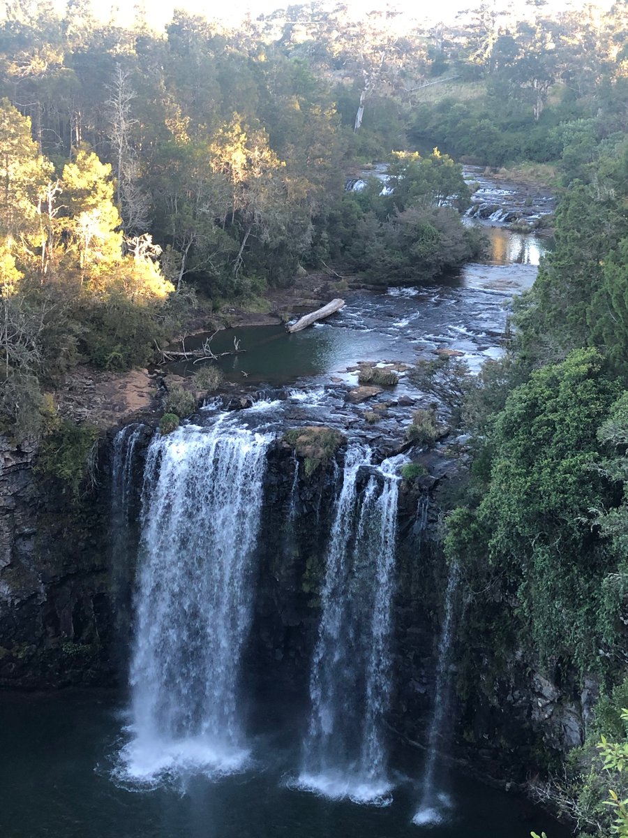 PeterRoach3's tweet photo. Spent this week visiting dairy farms in Dorrigo NSW. Great cows, great people, great weather, great place.
#JerseyAustralia https://t.co/CLsRorbgsJ
