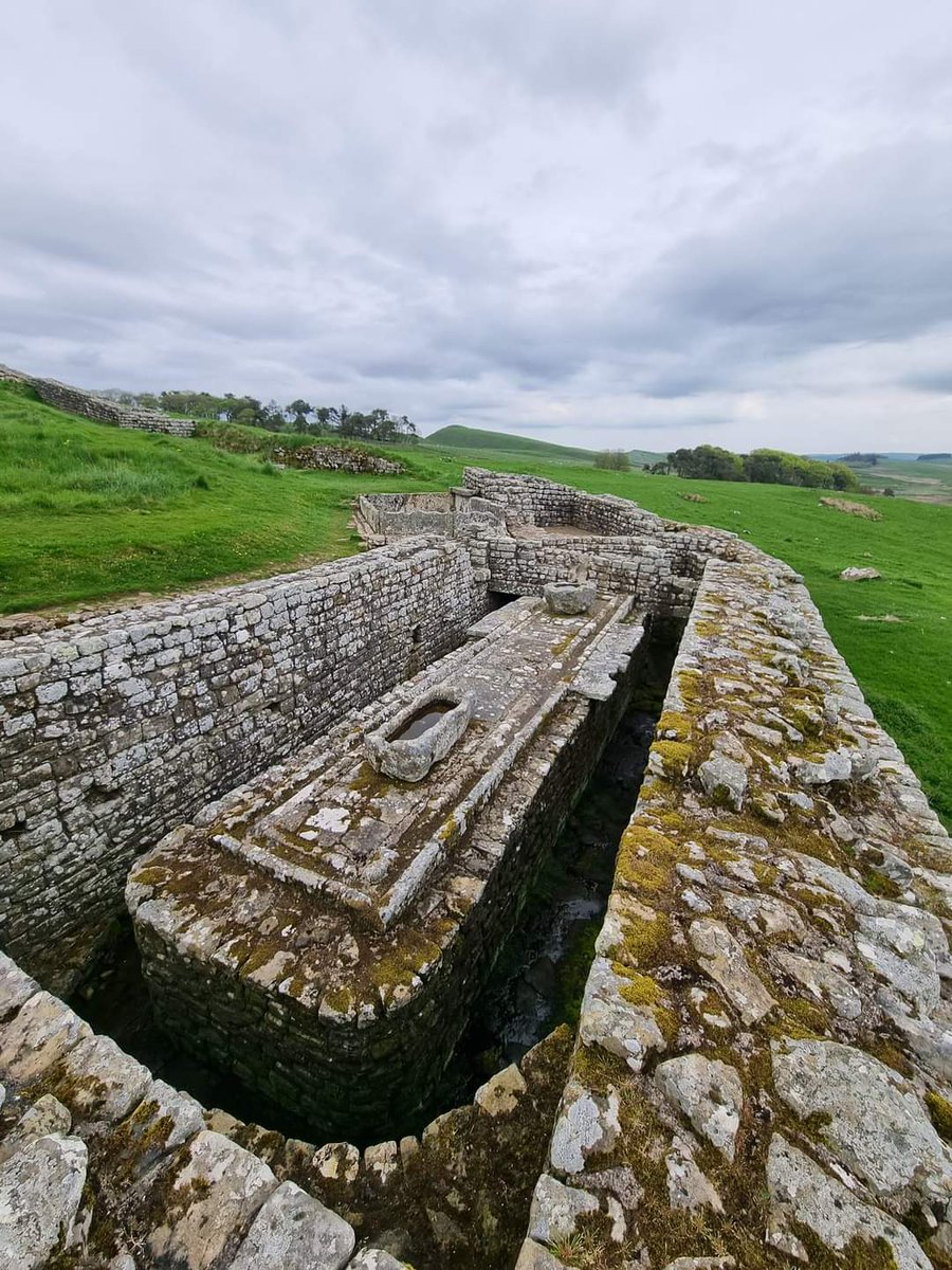Archaeo - Histories tweet media