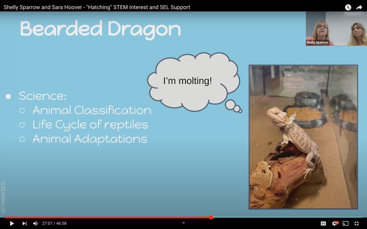 mrhartgis's tweet image. 3/4 - In 2022 @KeepINLearning #VirtuallyDifferent Summer Conf, I enjoyed listening to @sparrow1239 &amp;amp; @stemgirl29 describe how using live animals help w/ teaching life cycle science standards &amp;amp; providing opportunities for student responsibility &amp;amp; improved behavior. They were fun!
