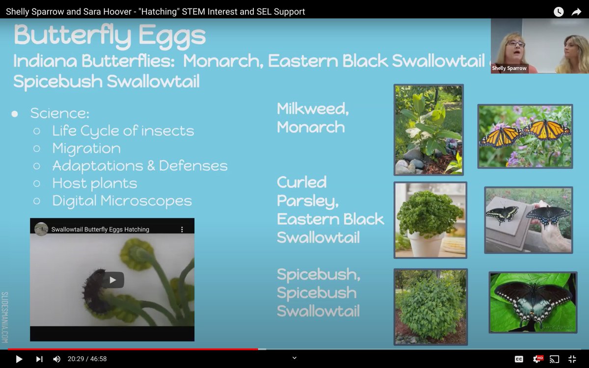 mrhartgis's tweet image. 3/4 - In 2022 @KeepINLearning #VirtuallyDifferent Summer Conf, I enjoyed listening to @sparrow1239 &amp;amp; @stemgirl29 describe how using live animals help w/ teaching life cycle science standards &amp;amp; providing opportunities for student responsibility &amp;amp; improved behavior. They were fun!