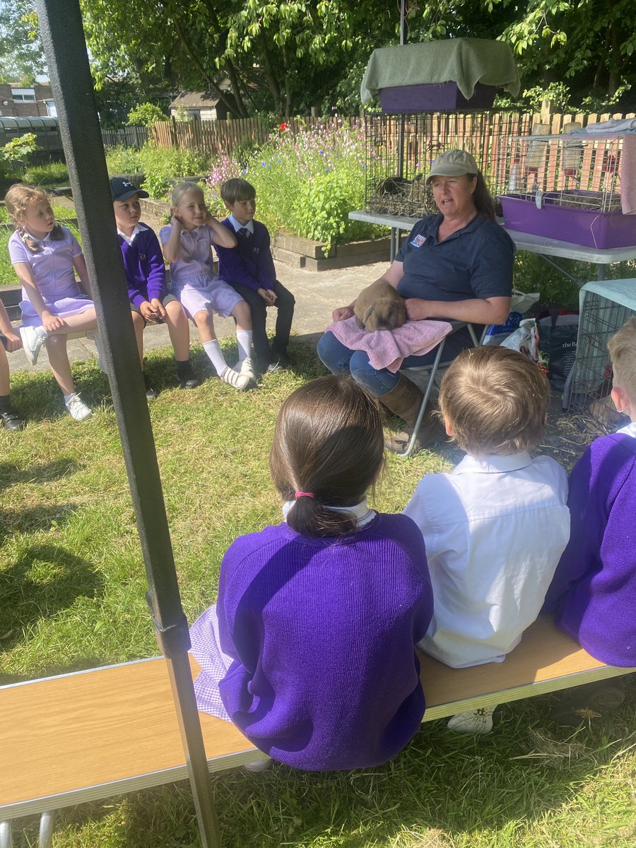 Year 2 enjoying @AlldaysFarm ☀️