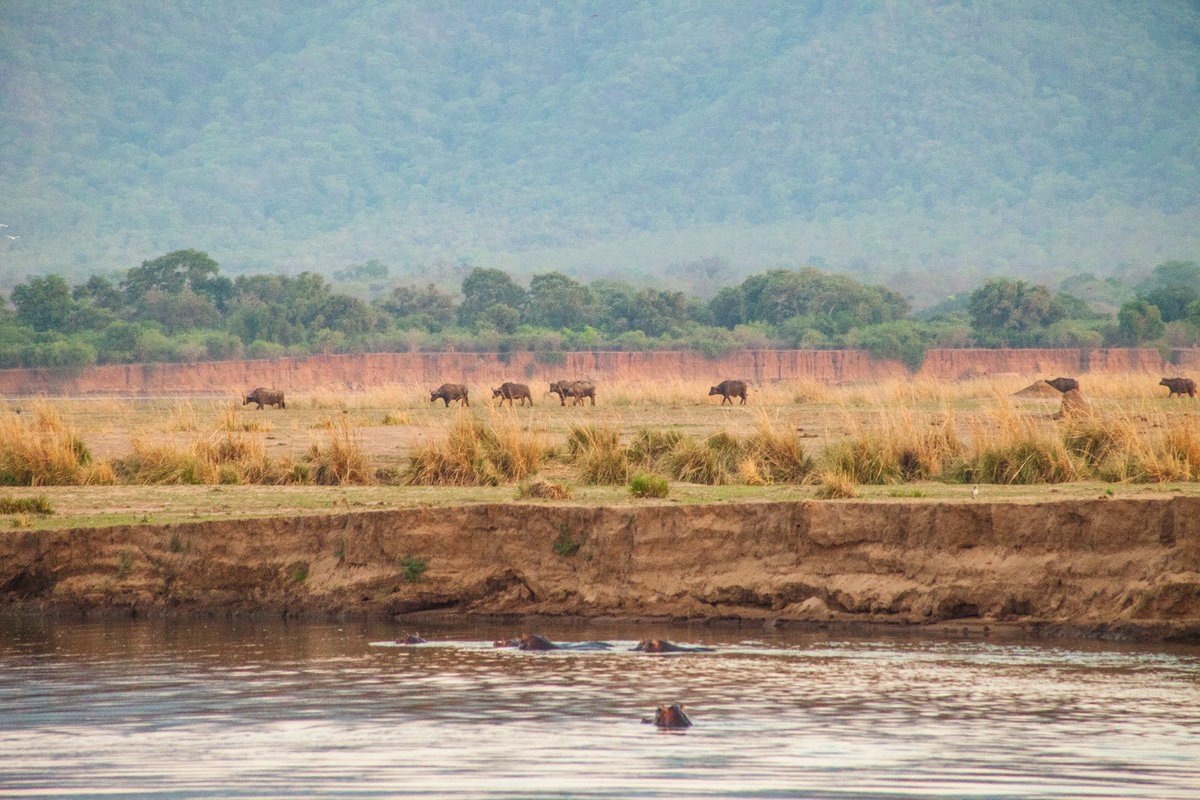 UNDP Zimbabwe tweet media