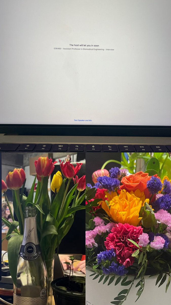 Brooke Tornifoglio tweet media