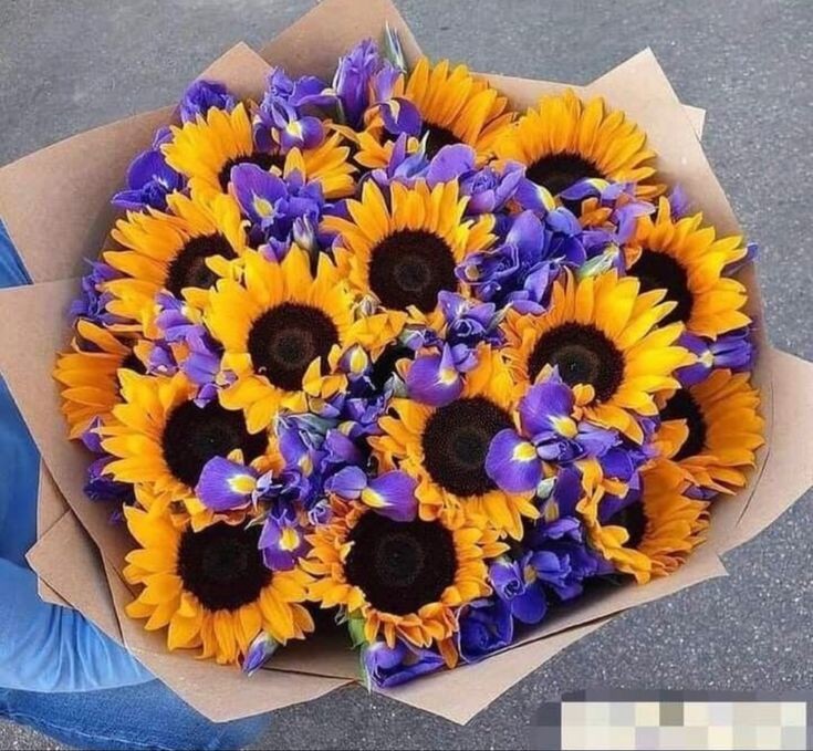 SUNFLOWER 🌻 tweet media