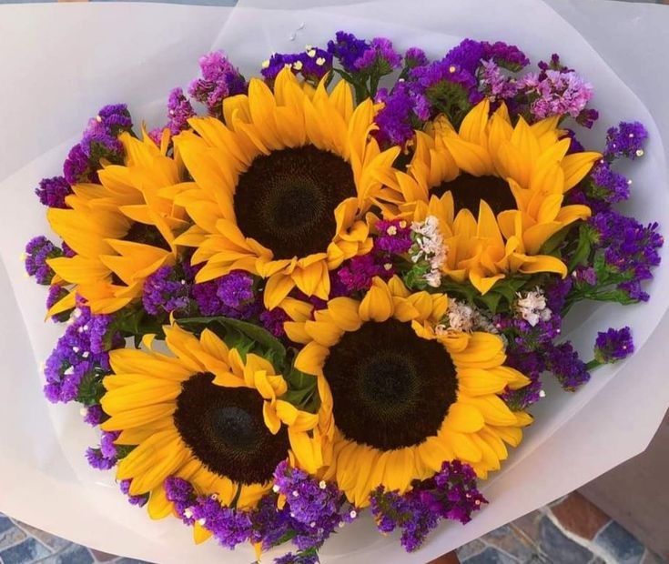 SUNFLOWER 🌻 tweet media