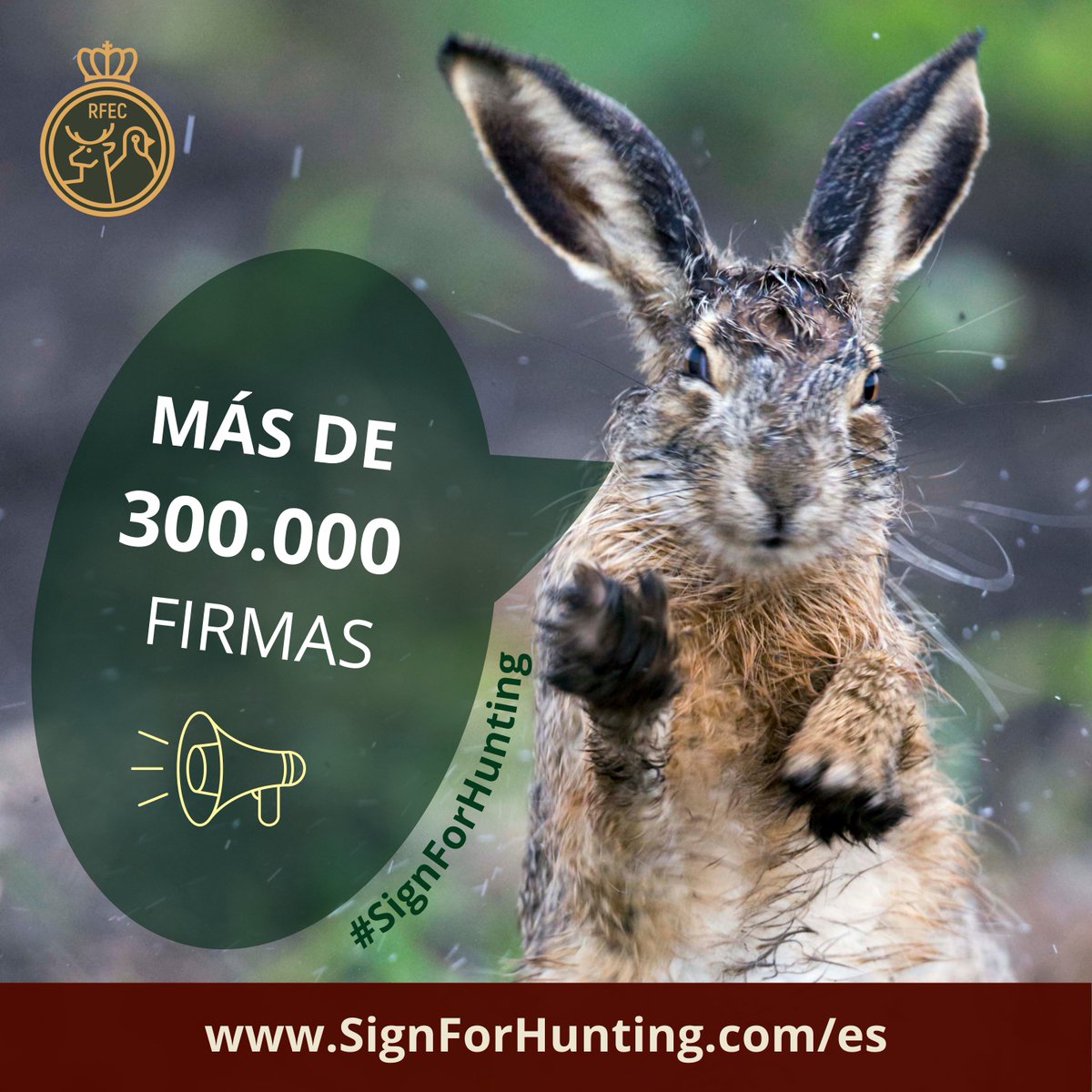 🚨 ¡Queda menos de una semana de #SignForHunting! 🚨

⚡️📝 ¡Hemos alcanzado más de 300.000 firmas para un futuro sólido de #caza y #conservación!

📢 ¡No pierdas TU OPORTUNIDAD de marcar la diferencia!

📝  Visita signforhunting.com/es/ y firma ahora.

@FACEforHunters