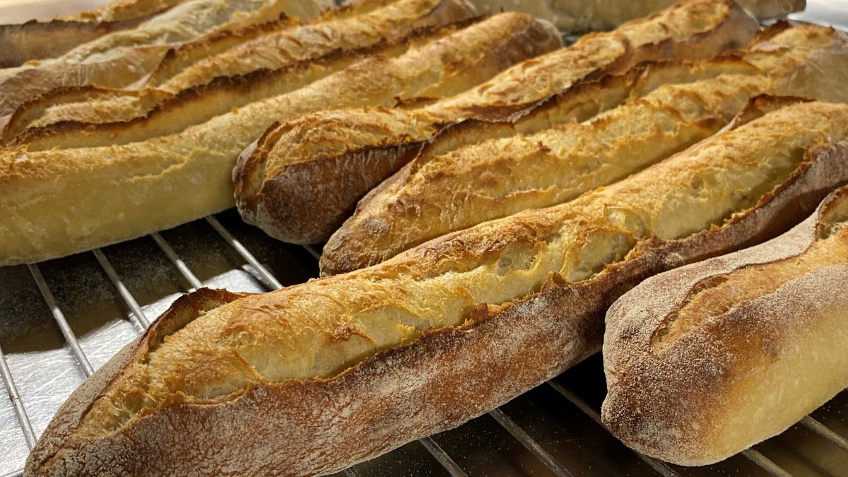 ARTERRIS11's tweet photo. Dans les 2 boulangeries @ARTERRIS11 partenair. @Occitanie la #MieNutie - 100% #BleDur de nos adh. Pass° du goût et #Innovation pour cette baguette croustillante à partager!
https://t.co/TzPv9oyv2O 
@lacoopagricole @NourrirDemain @FiliereCRC @ANMF_MeunerieFr @cnbpf @Metiersdugrain https://t.co/Cw7t60Rh8p