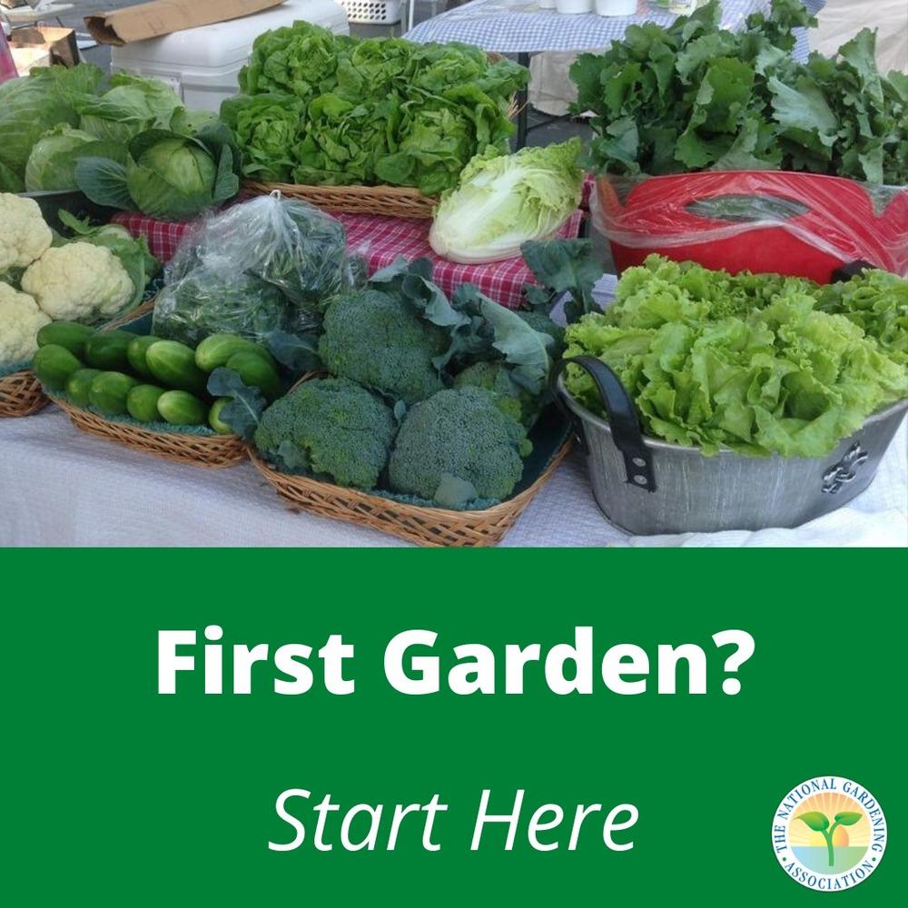 ClarkesGC's tweet photo. Are you new to gardening this year?  It can be intimidaing but this guide from the National Gardening Association should give you some confidence to grow your own plants!  https://t.co/bqOwNJTmq2 https://t.co/2PEZsCyaeT