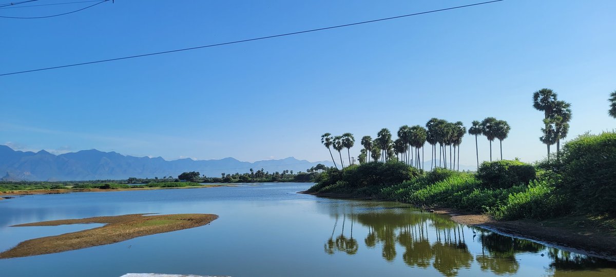 Morning rides are blissful! If SWM wind blows in Nellai & Tenkasi, then that's heaven!
#cyclinglife #cyclist #morningmotivation #nellai #tenkasi #paddy #westernghats #TravelwithMK #TravelDiaries