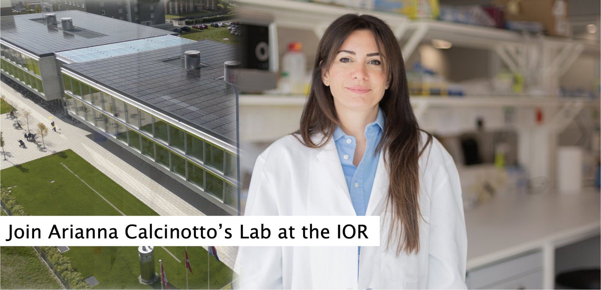 Institute of Oncology Research (IOR) (@ior_bellinzona) on Twitter photo 💼🔬 PostDoc open position in the Cancer Immunology Lab directed by Prof. Arianna Calcinotto <a href="/CalcinottoLab/">Arianna Calcinotto</a>
👉🏻More information: t.ly/MnGH
🔗Lab website: t.ly/K8lv 💼🔬 PostDoc open position in the Cancer Immunology Lab directed by Prof. Arianna Calcinotto <a href="/CalcinottoLab/">Arianna Calcinotto</a>
👉🏻More information: t.ly/MnGH
🔗Lab website: t.ly/K8lv