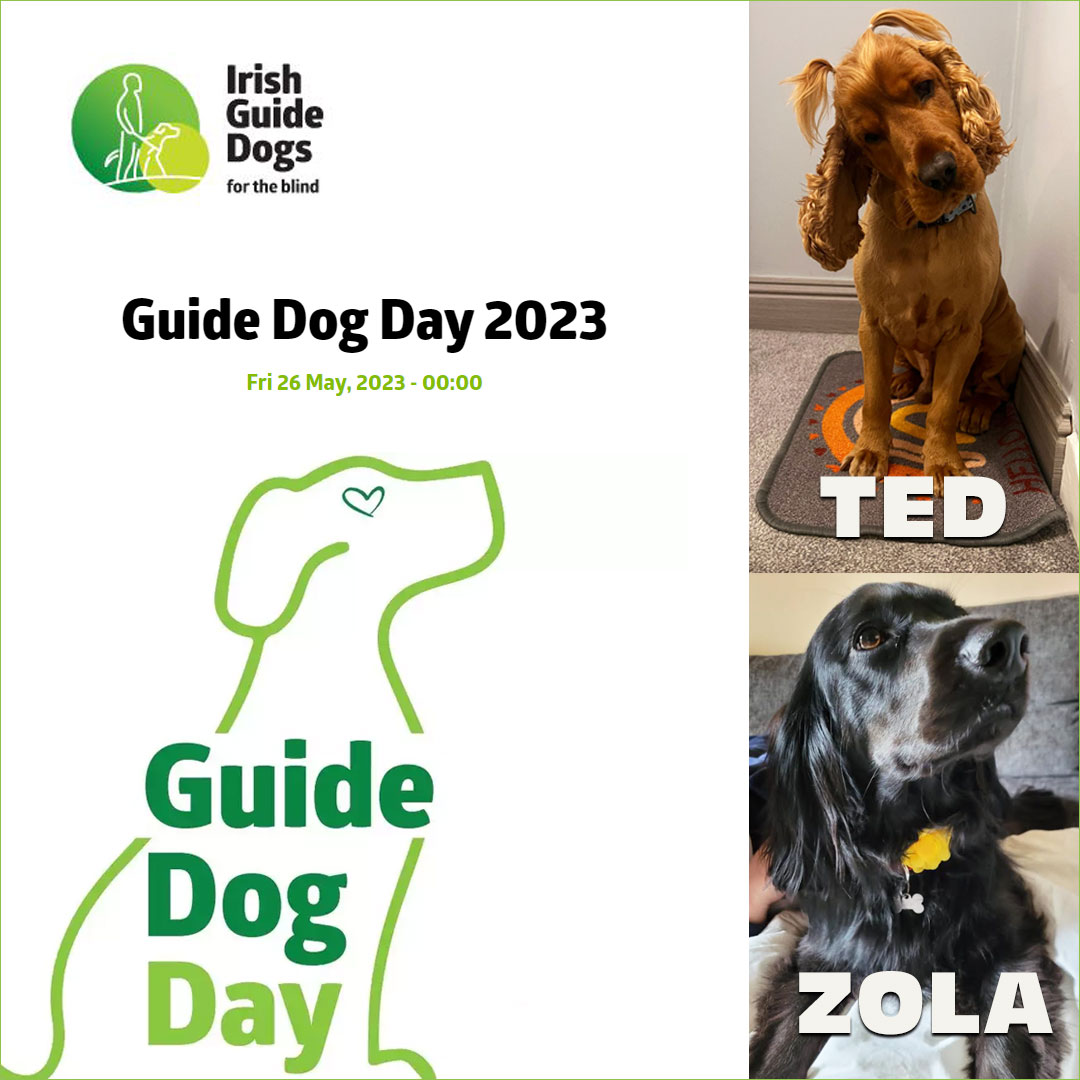 We love our fur babies here at Abbey Seals International. We also have an association with <a href="/irishguidedogs/">Irish Guide Dogs for the Blind</a> and just wanted to give them a shout out today for 'Guide Dog Day'. They do incredible work, help if you can 🙏🐕‍🦺🐶🐾 ow.ly/C8pE50Oxsjs #irishguidedogs