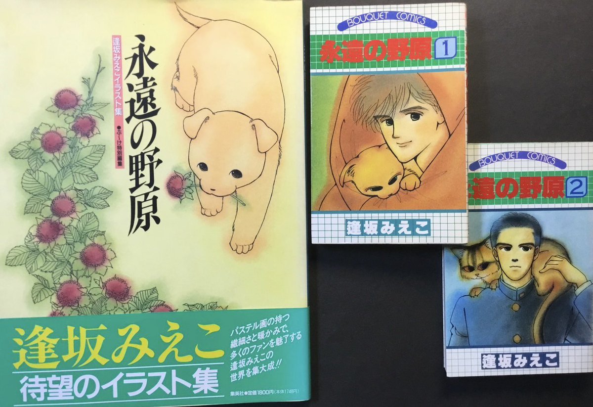 永遠の野原 全16巻セット