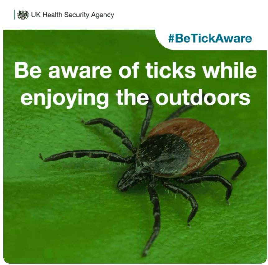 Westmorland and Furness Council tweet media