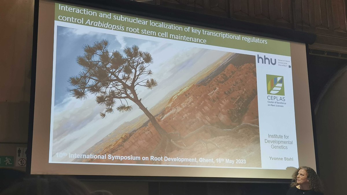 CerealCell's tweet photo. CSCS was at 10th Symposium on Root Development  #Rooting2023 at @PSB_VI. Prof. @StahlYvonne and @anikad0612 from @HHU_de presented their work in two fantastic talks 👏! https://t.co/pi4nqGpZWG