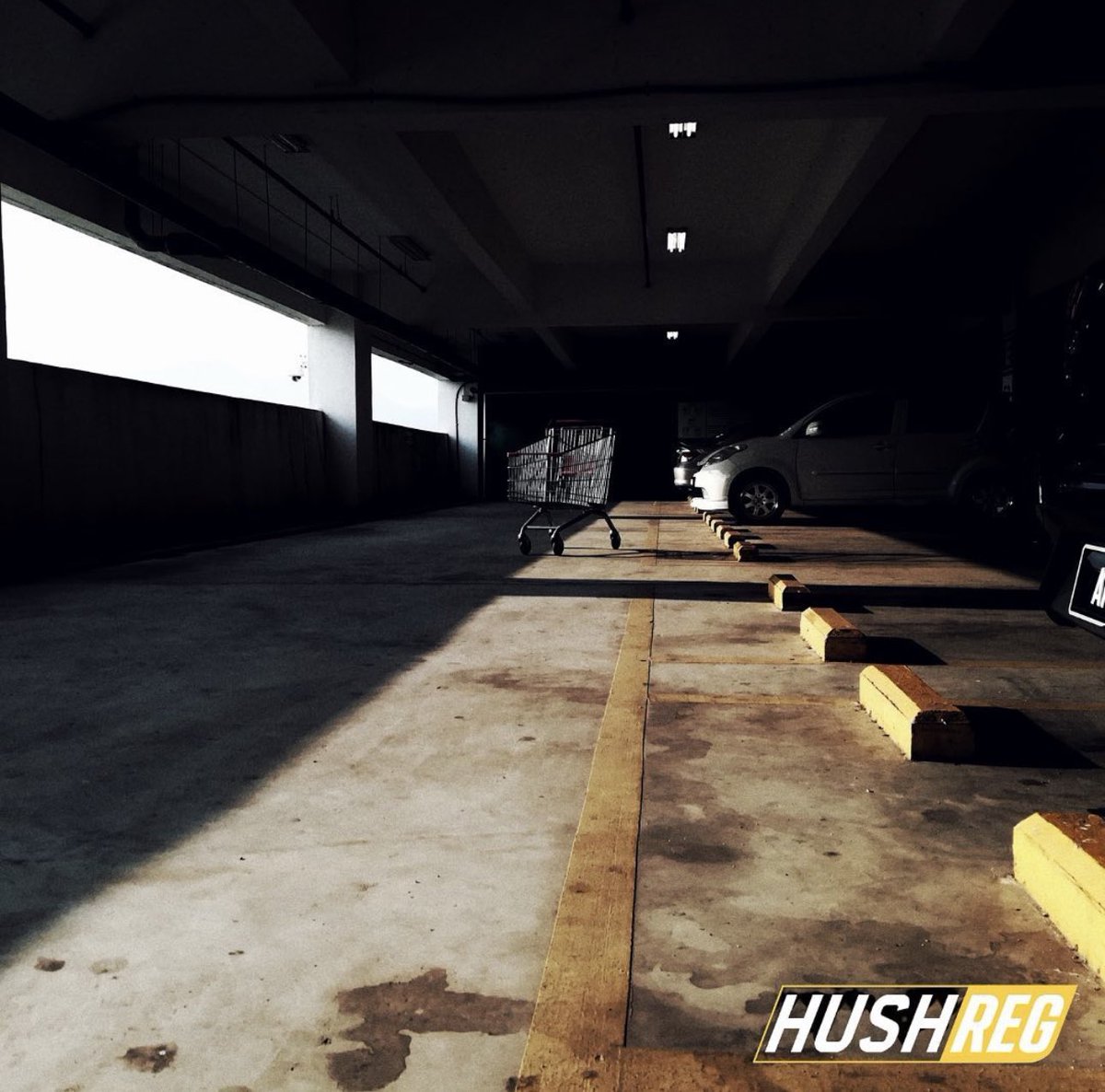 Shopping carts at the ready!

#HushReg #PrivateNumberPlate #Makeitpersonal #Keepitprivate #carreg #PersonalisedPlates #UniquelyYou #RoadsWithStyle