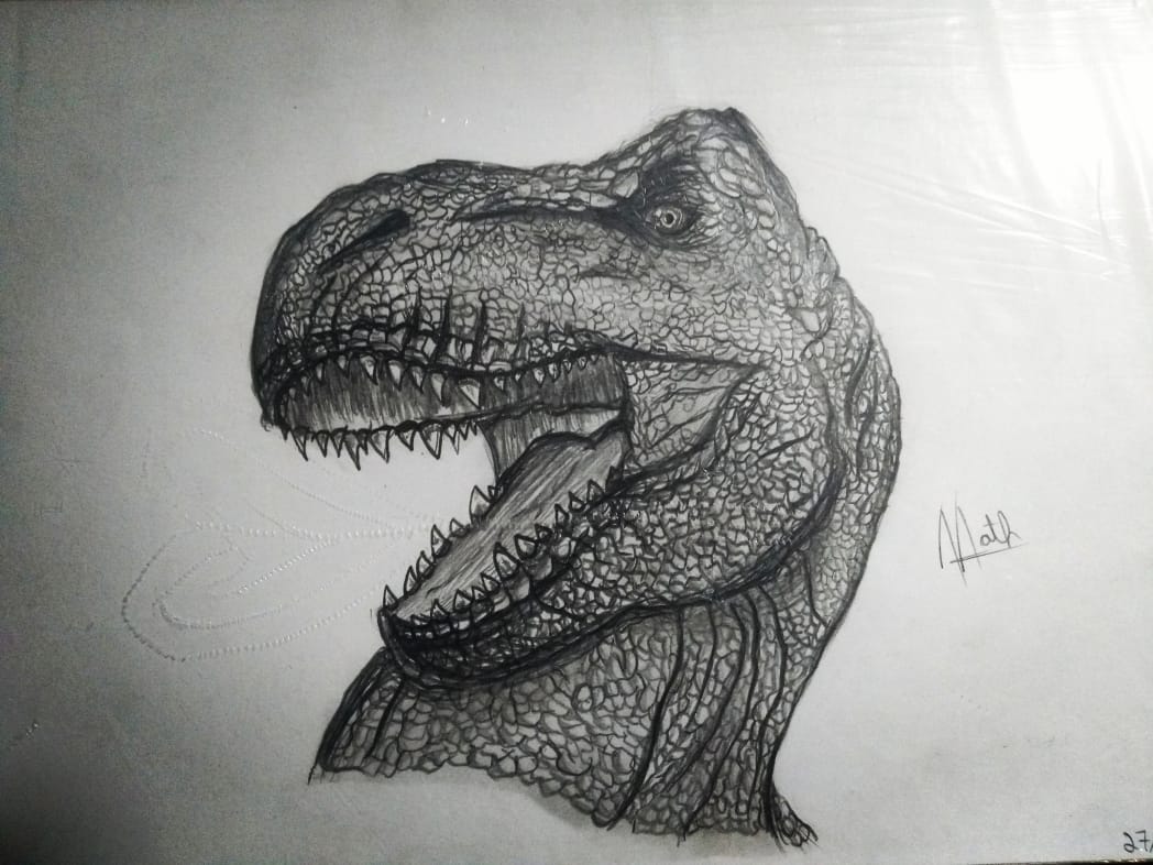 MatthewTheBig's tweet photo. A trying on realism, it went better than i expected #Dinosaurs #draw #realism #drawing #desenho #art #artist #arte #artista https://t.co/TqyuN2bEaO