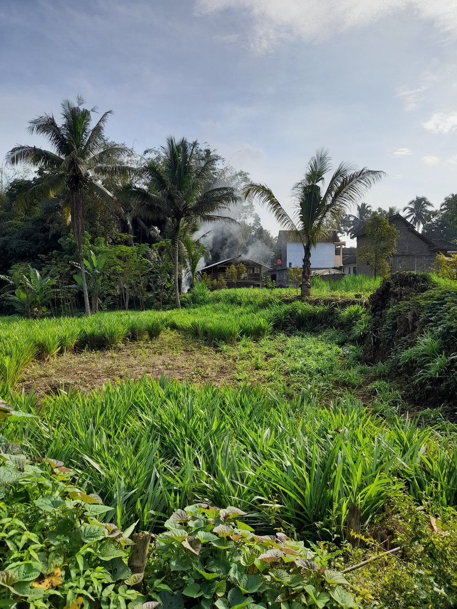 fuadaziz (@shownoomercyy) on Twitter photo 