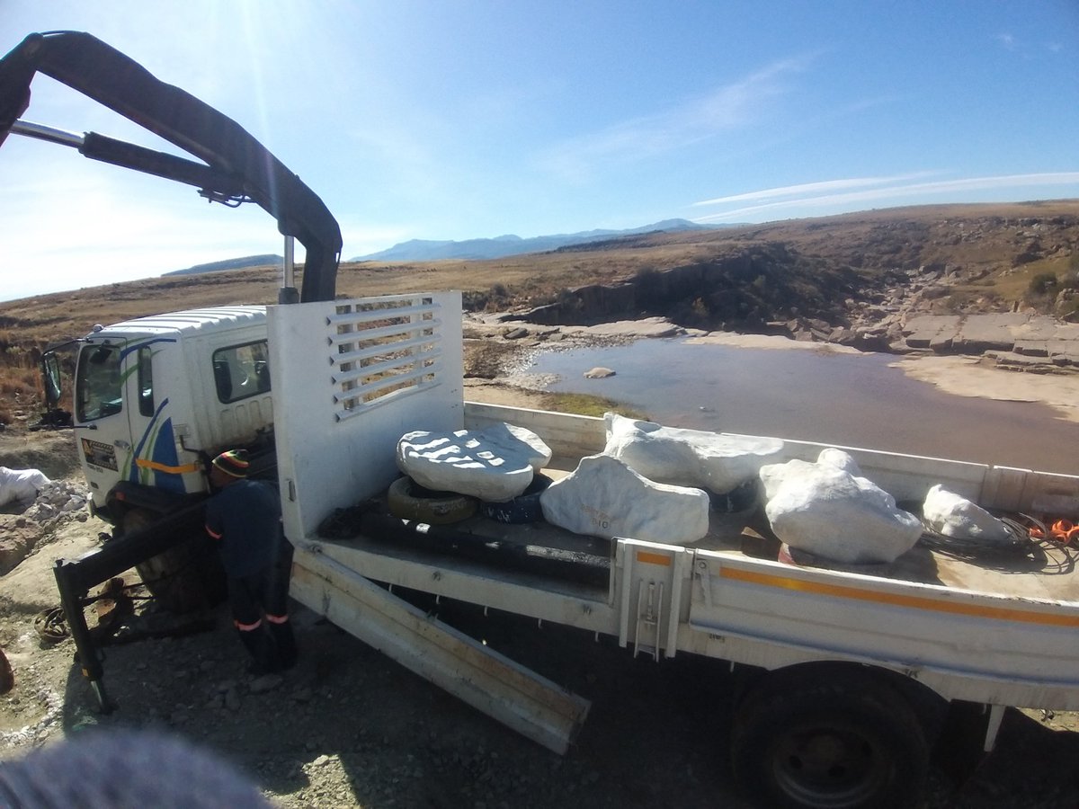 Palaeontological Society of Southern Africa tweet media