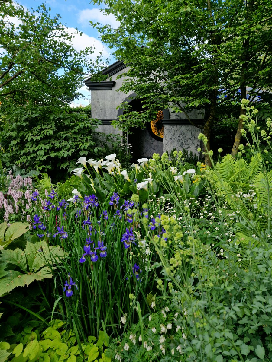 I spent a long time at Chris Beardshaw's garden. Tranquility was the word which sprung to mind. A place for cool reflection. #Chelseaflowershow #Gardening #GardeningTwitter