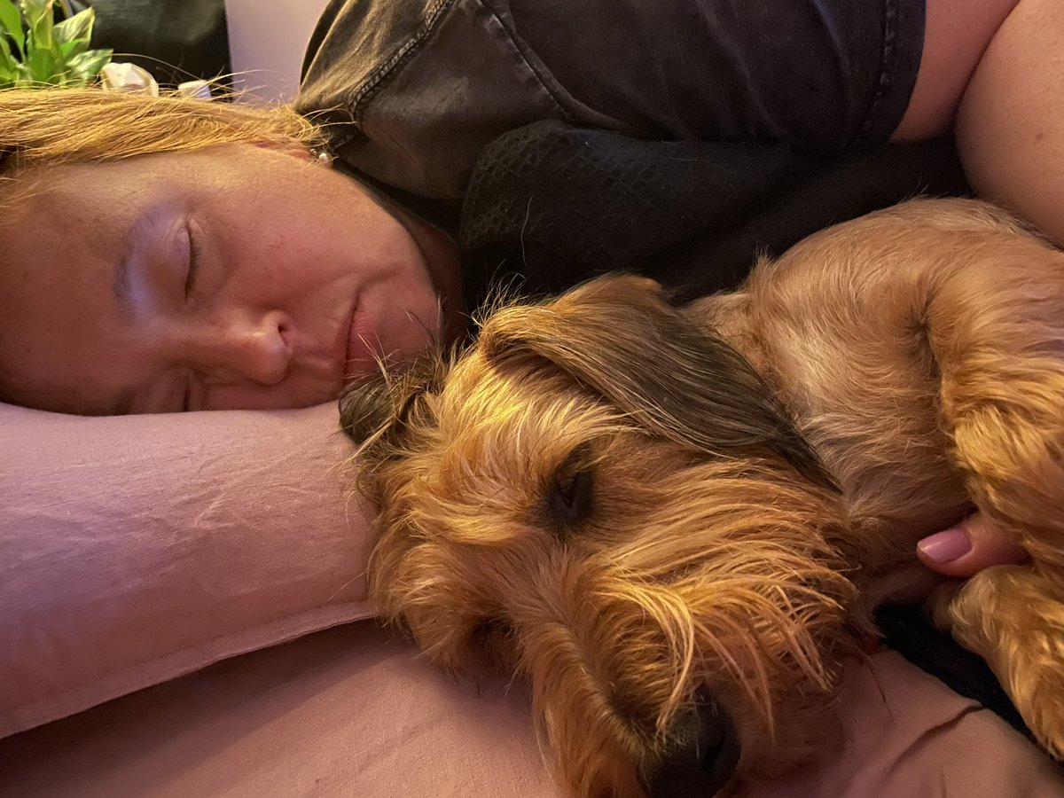 Phil Dyer tweet media