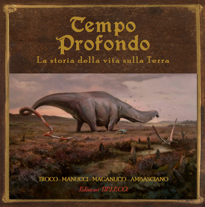 Don't miss it! book it here: emilianotroco.com/tempo-profondo By reserving the original Italian version (25% off and autographed by the authors) you will help this book come true! And once it becomes reality, we will be able to kick off its English-language version too!