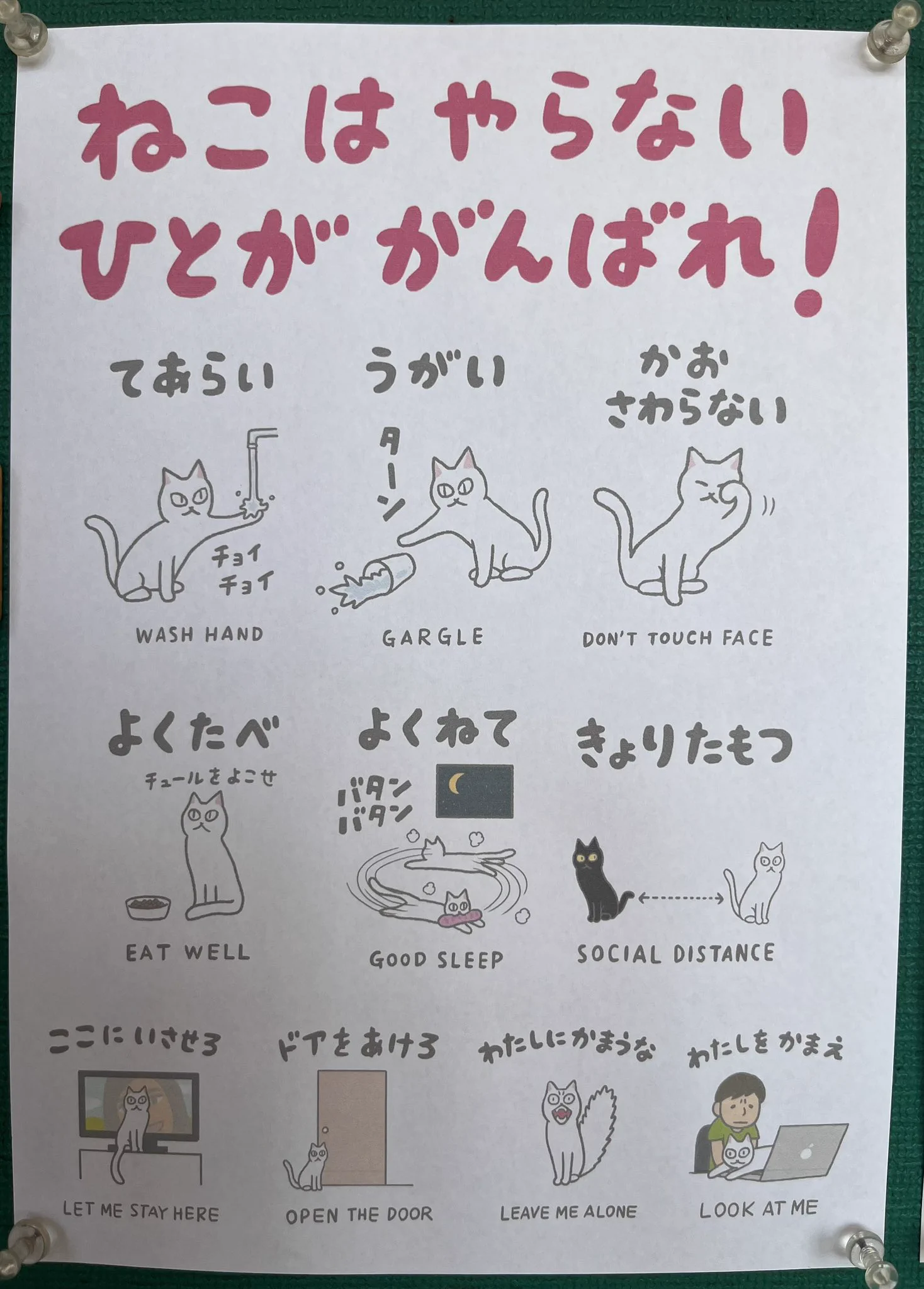 @sekikazu01 猫島のこの貼り紙まじですき 