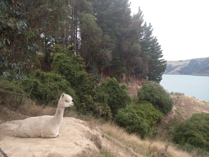 Travel Bugs World ✈️🐞🌎 tweet media