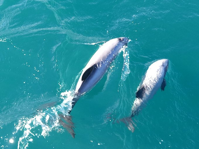 Travel Bugs World ✈️🐞🌎 tweet media