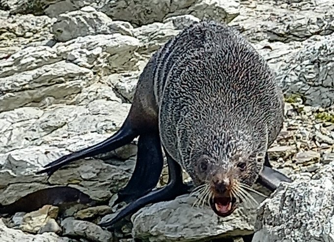 Travel Bugs World ✈️🐞🌎 tweet media