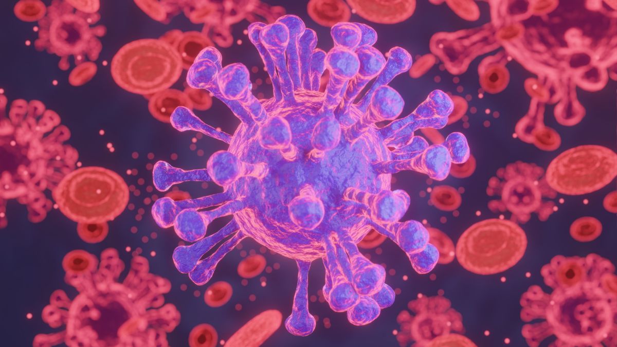 Powassan Virus Disease Claims One Life In US; Know Causes, Symptoms And Treatment Of This Tick-Borne Illness
#Powassanvirus #US #Canada #Russia #virus #deadlyvirus
english.jagran.com/lifestyle/powa…