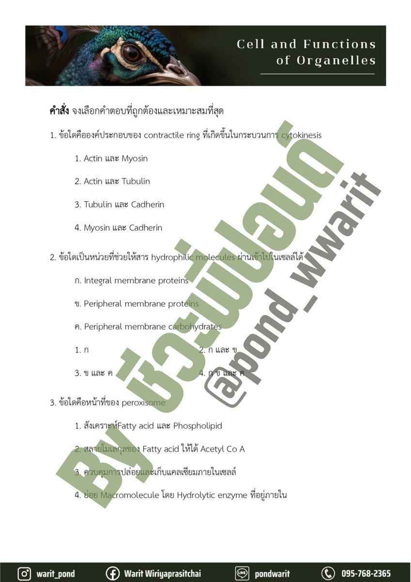 pond_wwarit's tweet photo. 🚩มาแล้ว💥
ตัวอย่างชีท คอร์สตะลุยโจทย์เข้า สอวน. ชีวะ สอนโดยพี่ปอนด์ ที่ 1 สอวน. ชีวะ🥇
✨️น่าเรียนขนาดนี้ อย่าลืมมาลงกันเยอะๆนะครับ🙋
#dek68 #dek69 #dek70 #dek71 #เตรียมอุดม #tu #tu84 #tu85 #tu86 #tu87 #tu88 #tu89 #สอวน #สอวนชีวะ #สอวนค่าย1 #mwit #kvis #ชีวะโอลิมปิก #ติวชีวะ https://t.co/DDasrgNplt