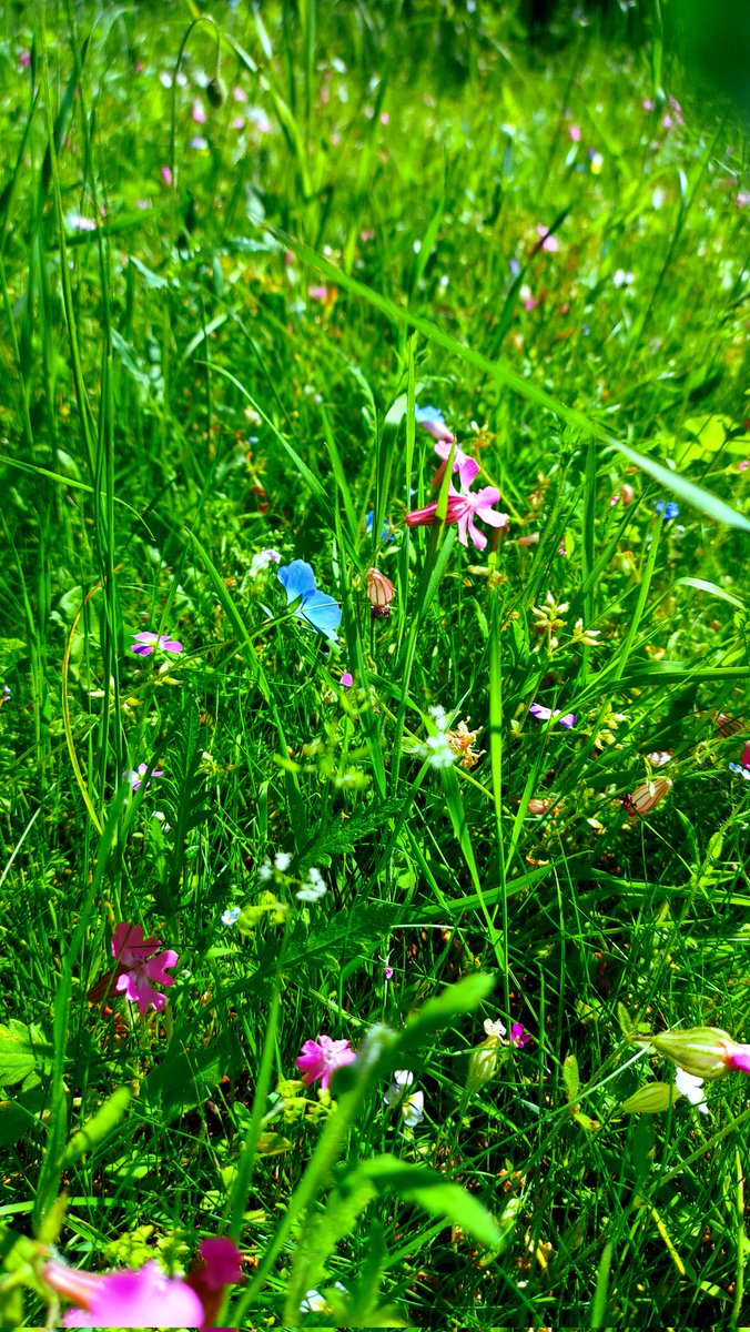 📍💙🤍❤️ #valdereuil 
#France 
#francenature 
#photography
#ePHOTOzin
#naturephotography
#magnifiquefrance #Normandie 
#FranceMagique
#loveNormandie
#Photographie