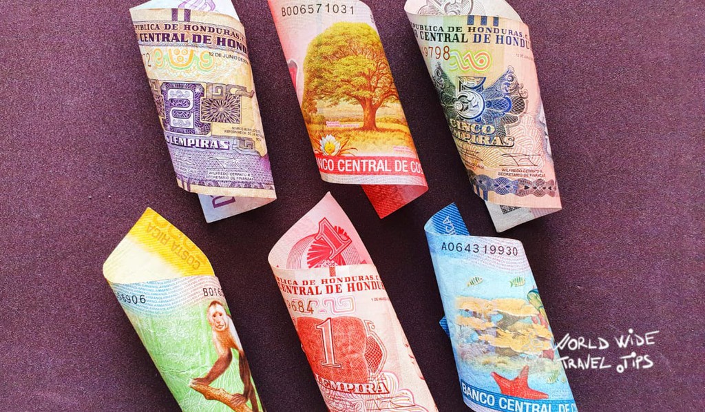 In 2012 Costa Rica changed the design of the banknotes again and today the most beautiful animals from this country appear on Costa Rica currency: sloth, morpho butterfly, white-faced capuchin monkey, and hummingbird.

Read more 👉 lttr.ai/ACJRj

#CostaRicanCurrency