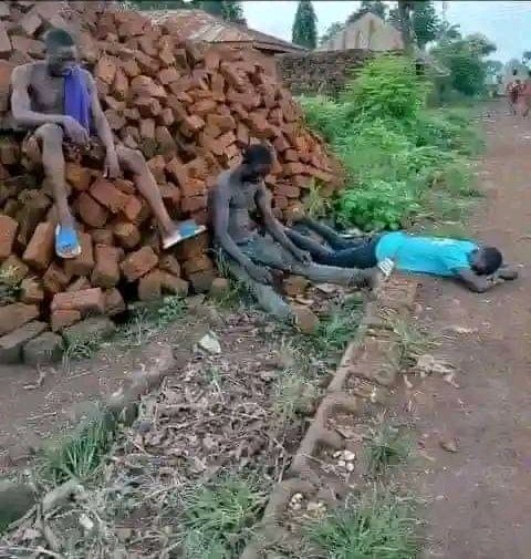 They offload 6000 bricks at a wrong address 🤭💔😂
