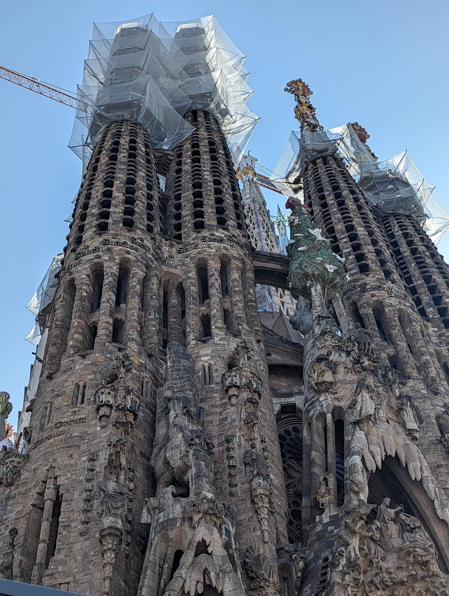 Ramon Adams tweet media